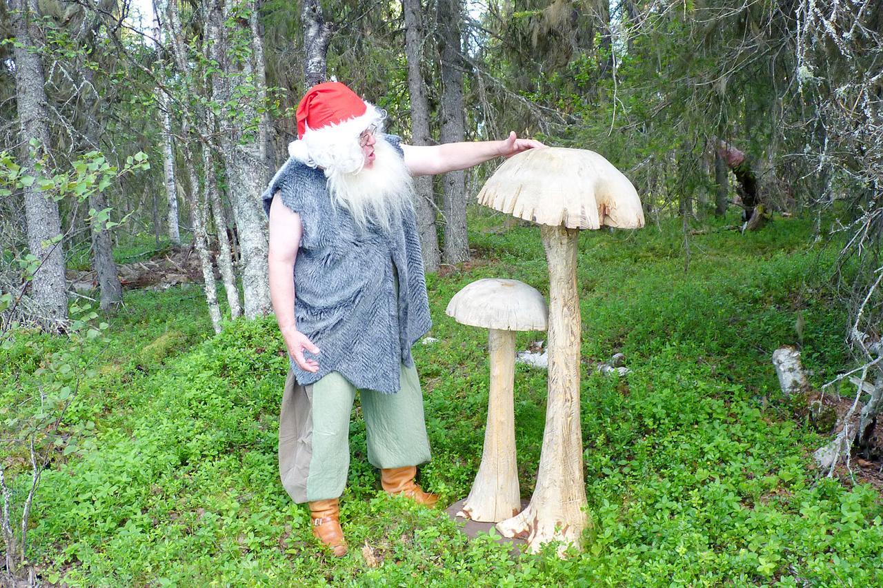 Elves Village Hotel Köngäs 외부 사진